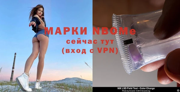 стафф Тобольск