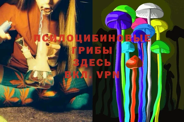 МДПВ Сясьстрой