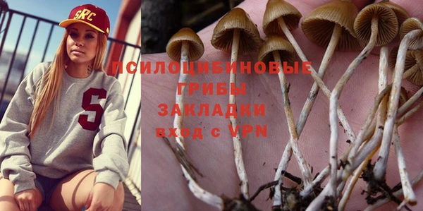 стафф Тобольск
