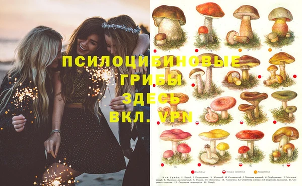 МДПВ Сясьстрой