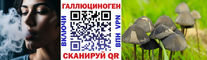 Псилоцибиновые грибы Psilocybe  Купить закладки  Новодвинск 
