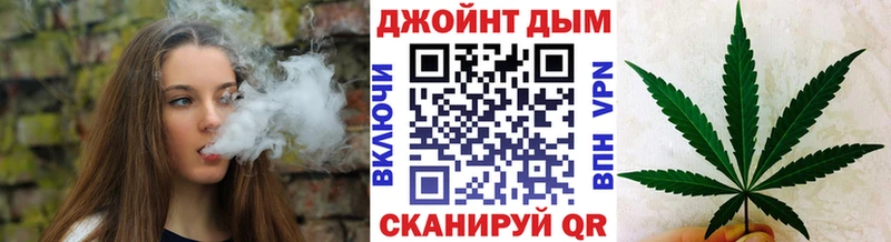МАРИХУАНА план  Купить где  Новодвинск 